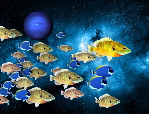 Weekly Horoscope: Pisces: June 17, 2024 – June 23, 2024