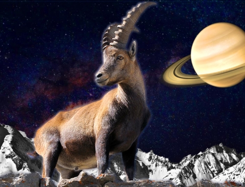 Weekly Horoscope: Capricorn: June 17, 2024 – June 23, 2024