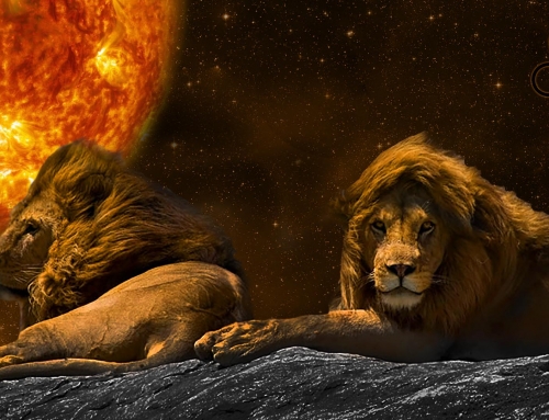 Weekly Horoscope: Leo: June 10, 2024 – June 16, 2024