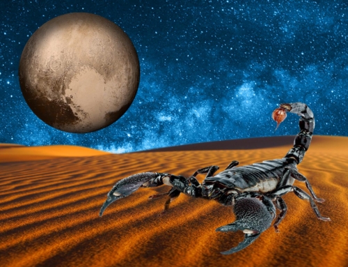 Weekly Horoscope: Scorpio: June 10, 2024 – June 16, 2024